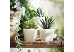 3 plantes artificielles en pot